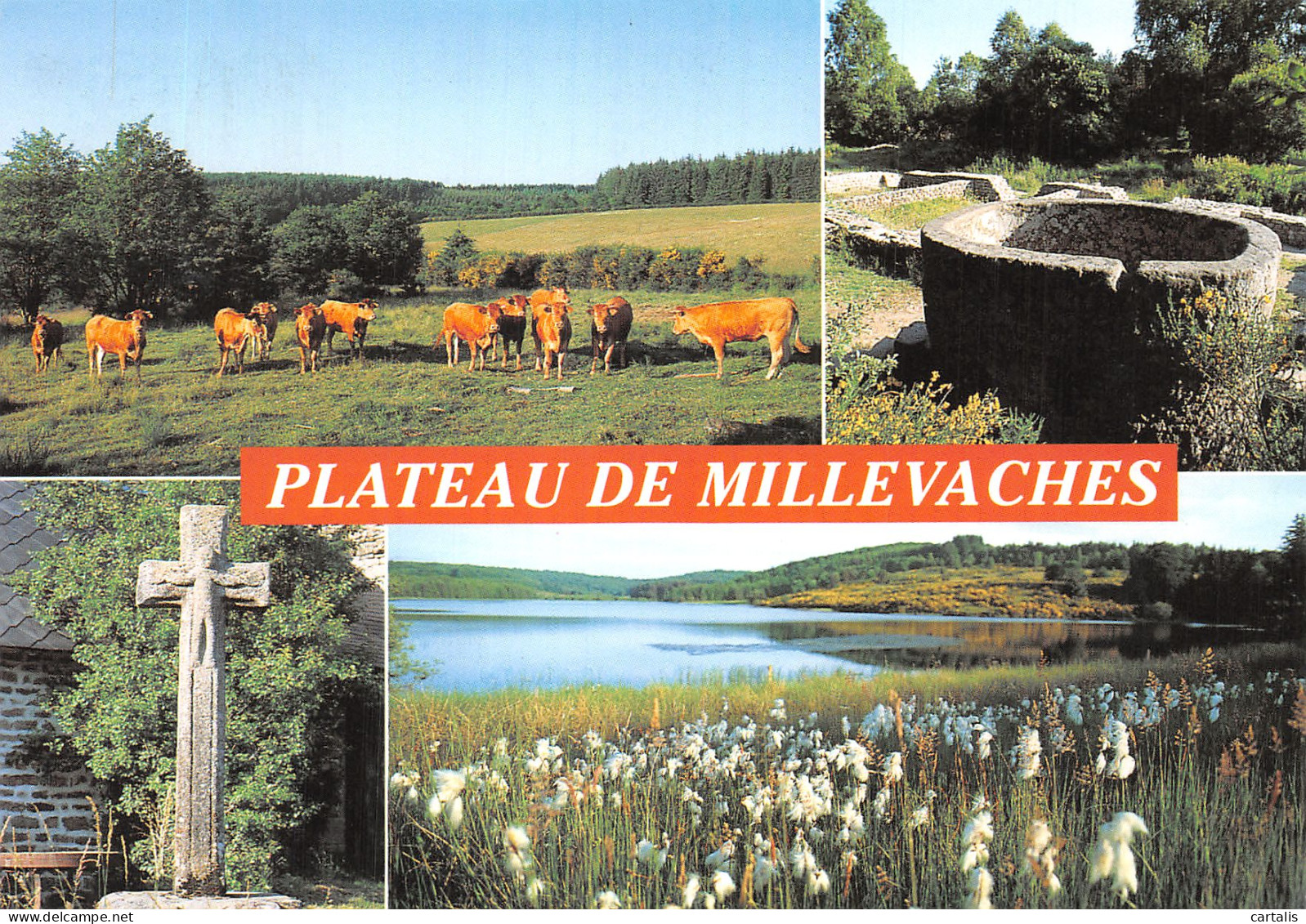 19-MILLEVACHES-N°4199-B/0321 - Autres & Non Classés