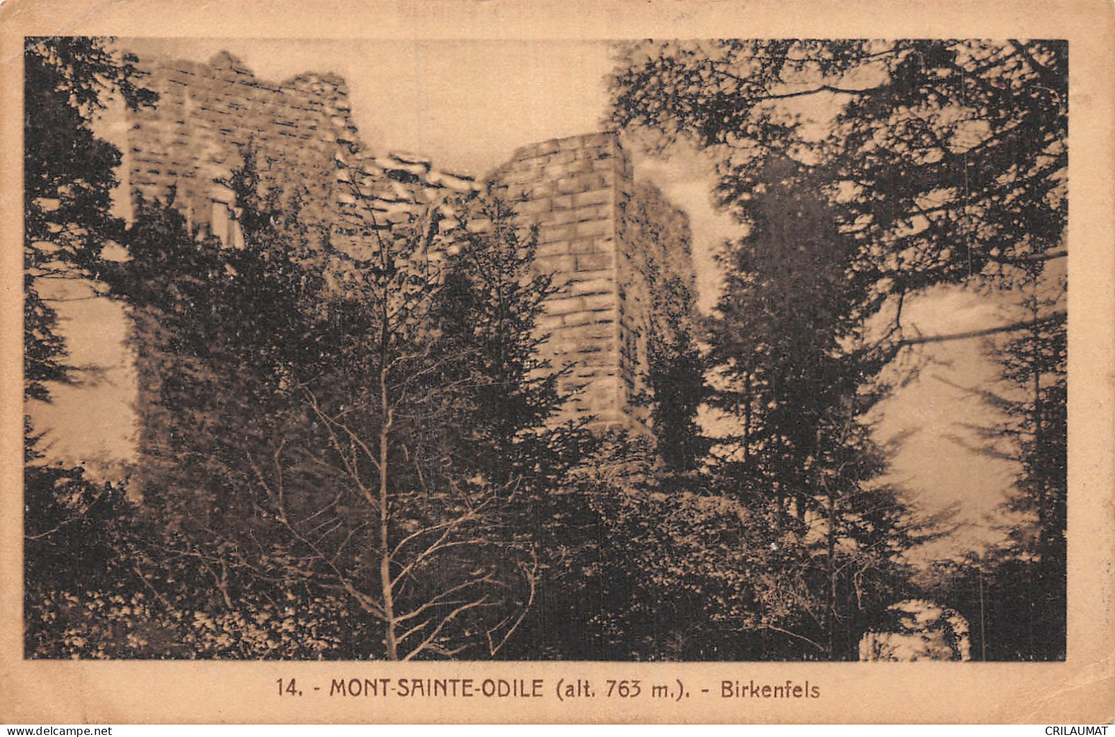 67-MONT SAINTE ODILE-N°5145-H/0387 - Other & Unclassified