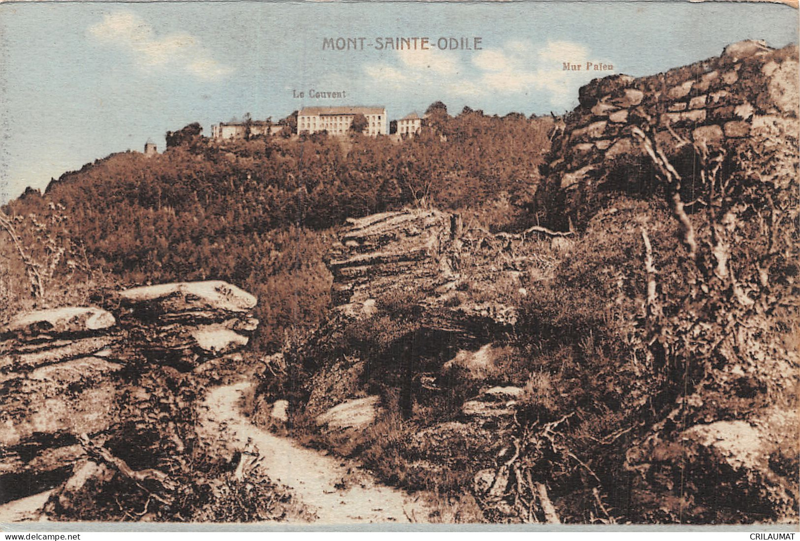 67-MONT SAINTE ODILE-N°5145-H/0383 - Other & Unclassified