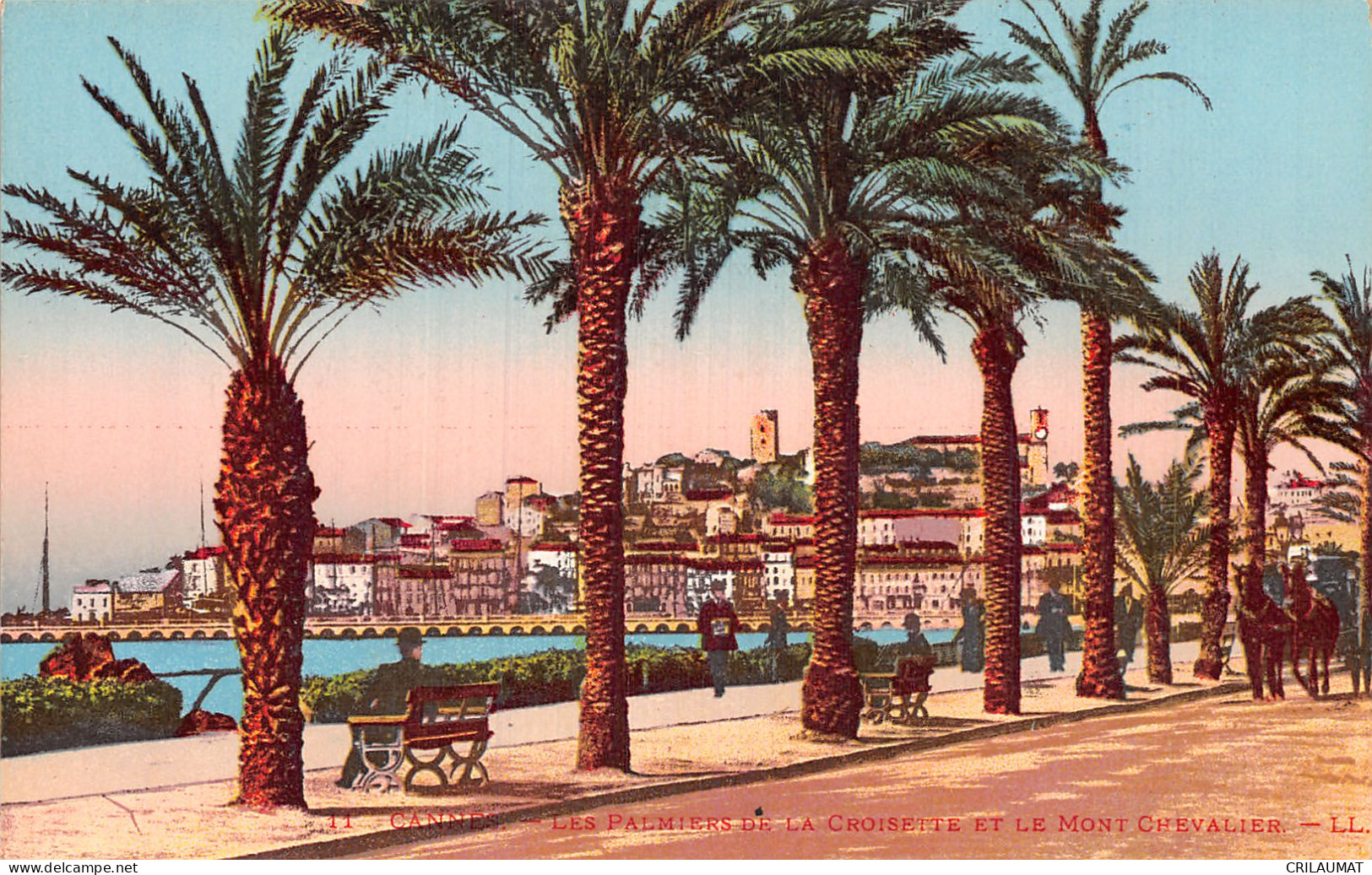 06-CANNES-N°5145-H/0225 - Cannes