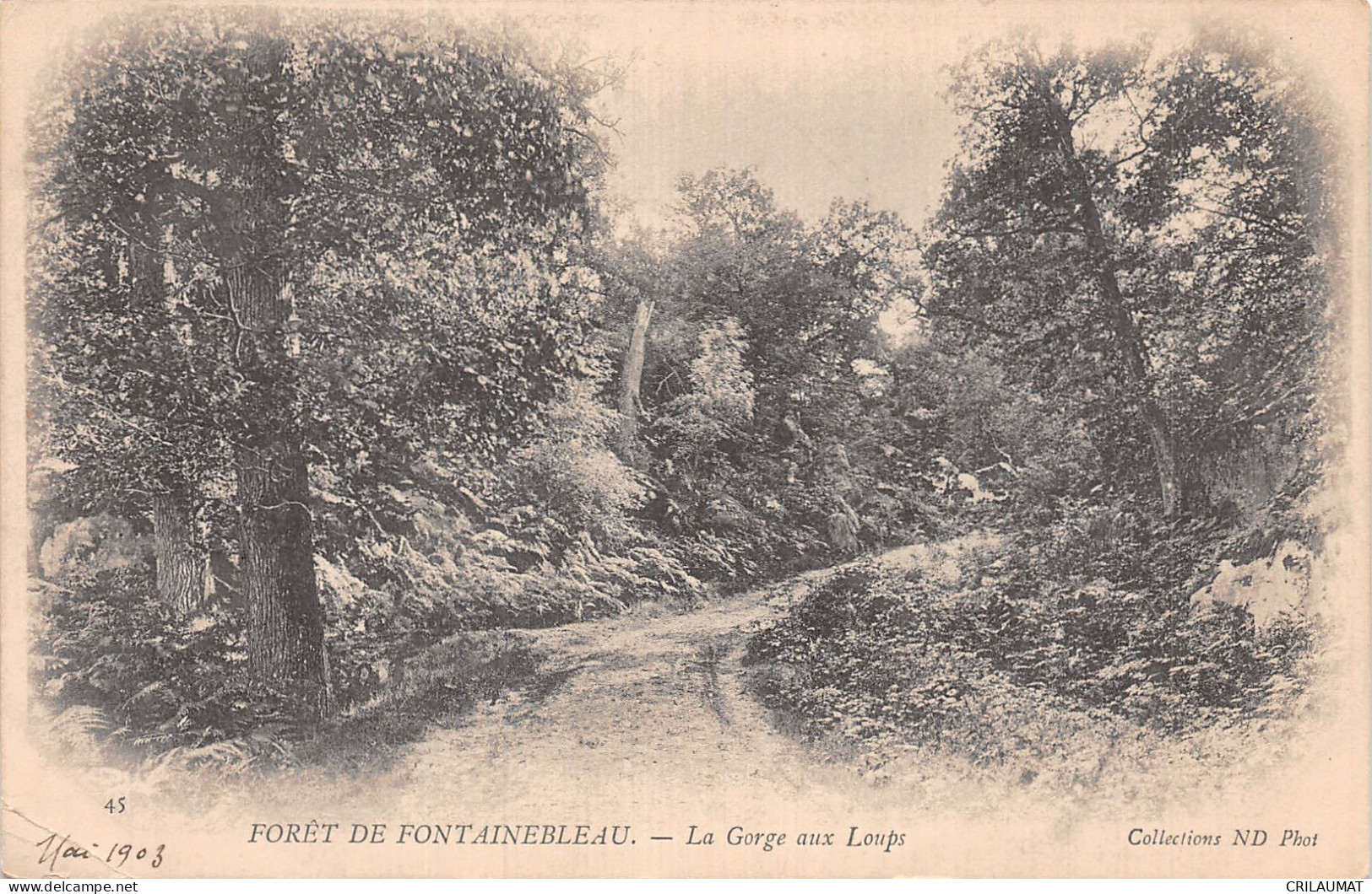 77-FONTAINEBLEAU LA FORET-N°5145-G/0087 - Fontainebleau