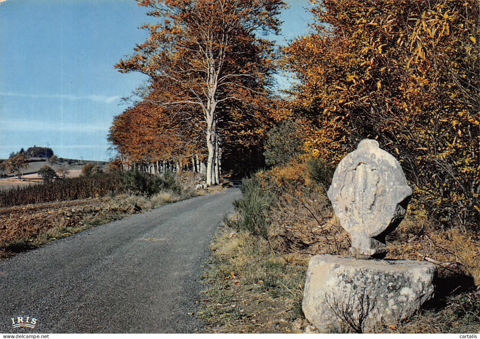 15-MONTSALVY-N°4200-B/0187 - Autres & Non Classés