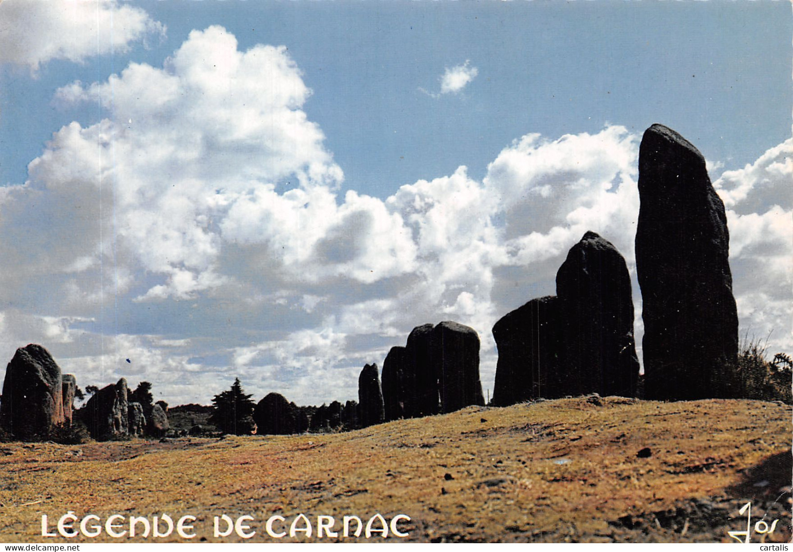 56-CARNAC-N°4200-A/0017 - Carnac