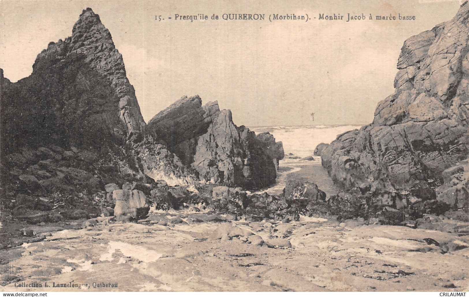 56-QUIBERON-N°5146-C/0003 - Quiberon