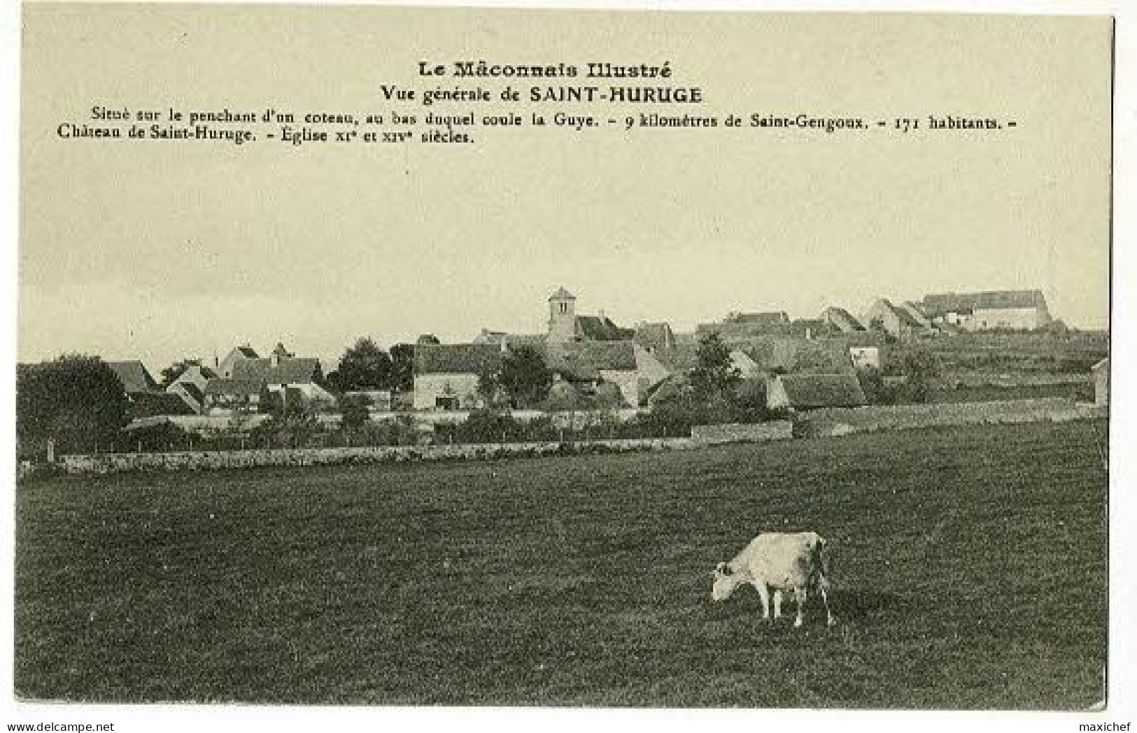 Le Mâconnais Illustré - Vue Générale De Saint Huruge (avec Texte Descriptif) Vache Au Pré - Pas Circulé - Sonstige & Ohne Zuordnung