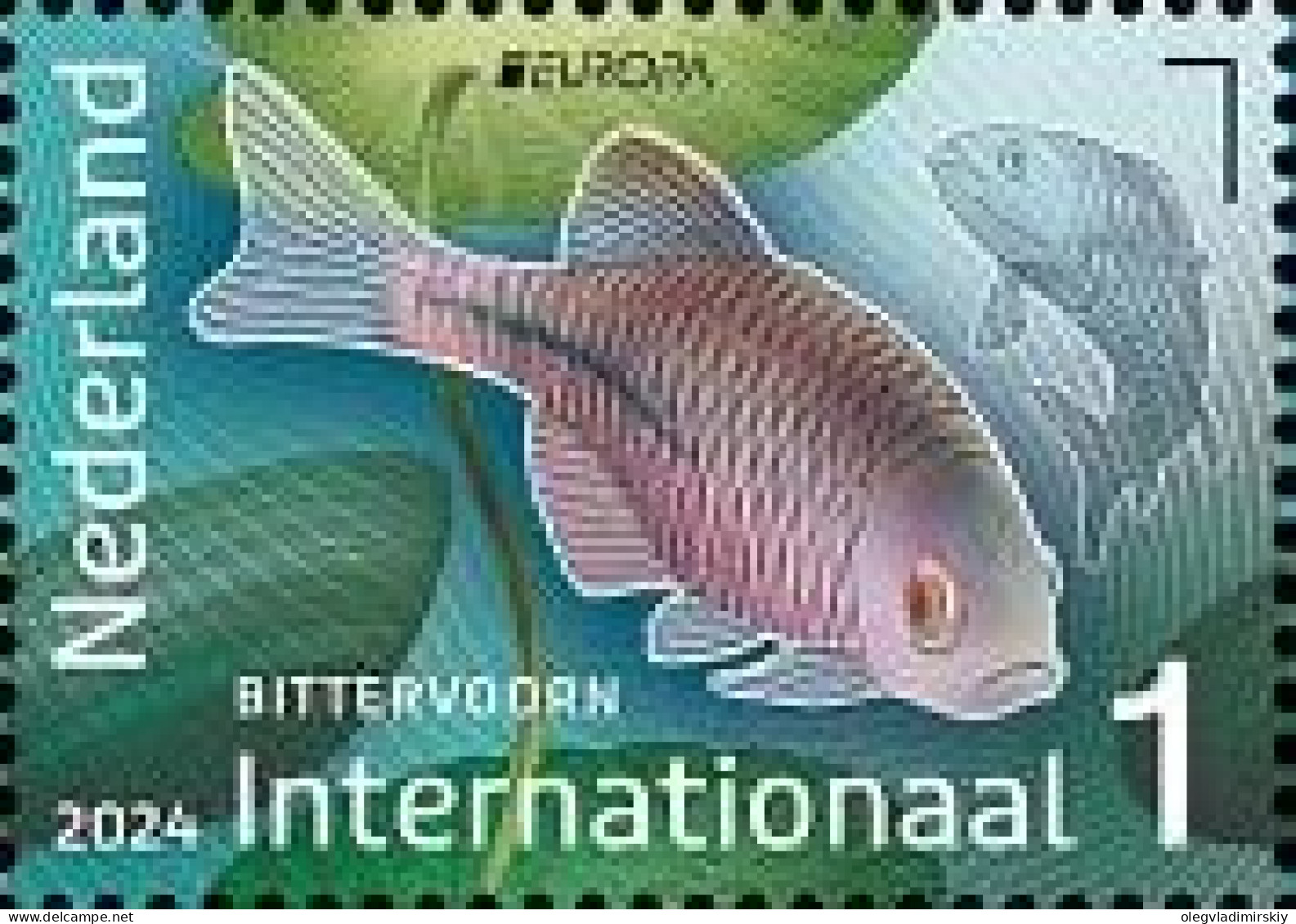 Netherlands Pays-Bas Niederlande 2024 Europa CEPT Undewater Fauna Fish Stamp MNH - 2024