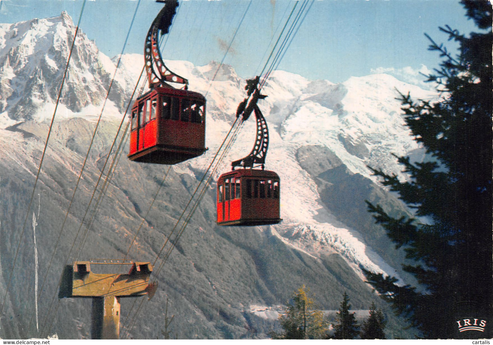 74-CHAMONIX MONT BLANC-N°4200-C/0049 - Chamonix-Mont-Blanc