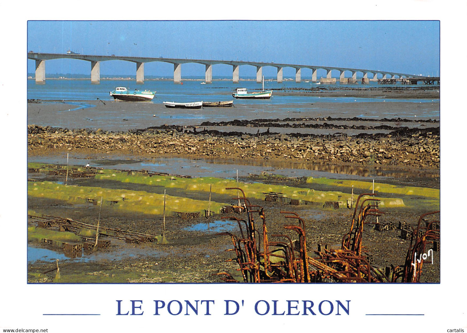 17-ILE D OLERON-N°4200-B/0381 - Ile D'Oléron