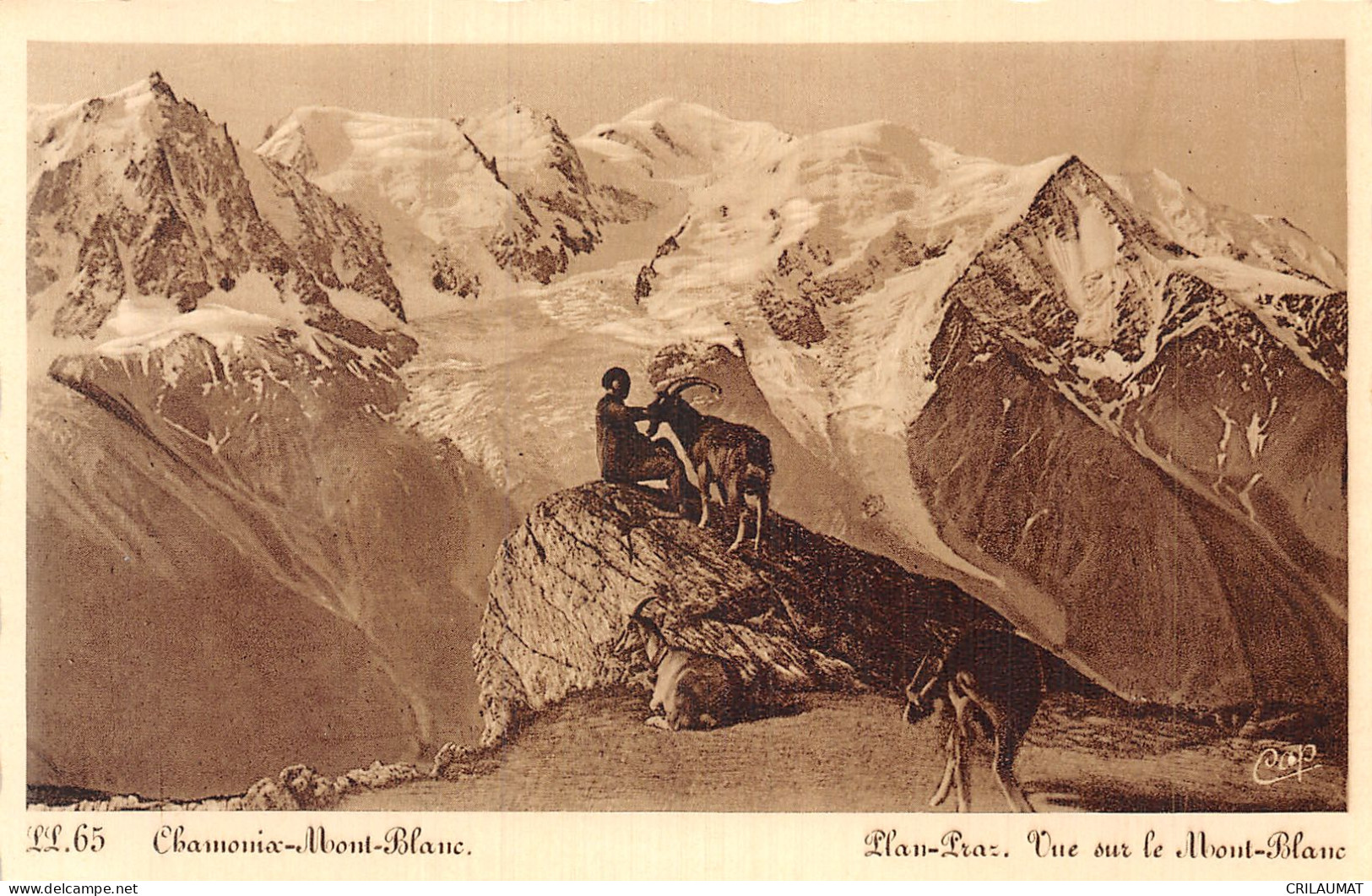 74-CHAMONIX-N°5146-F/0027 - Chamonix-Mont-Blanc