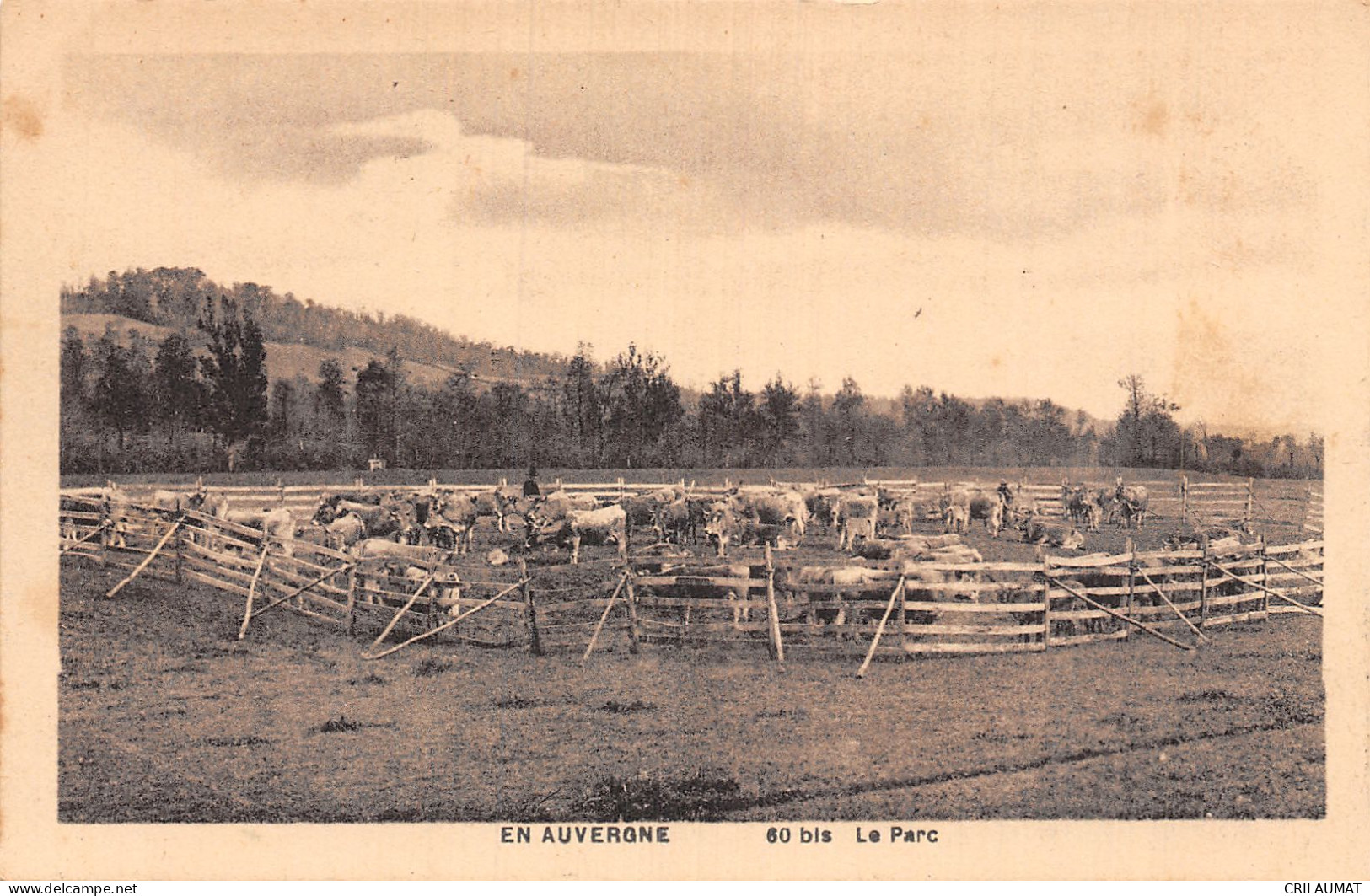 15-AUVERGNE-N°5146-D/0143 - Sonstige & Ohne Zuordnung