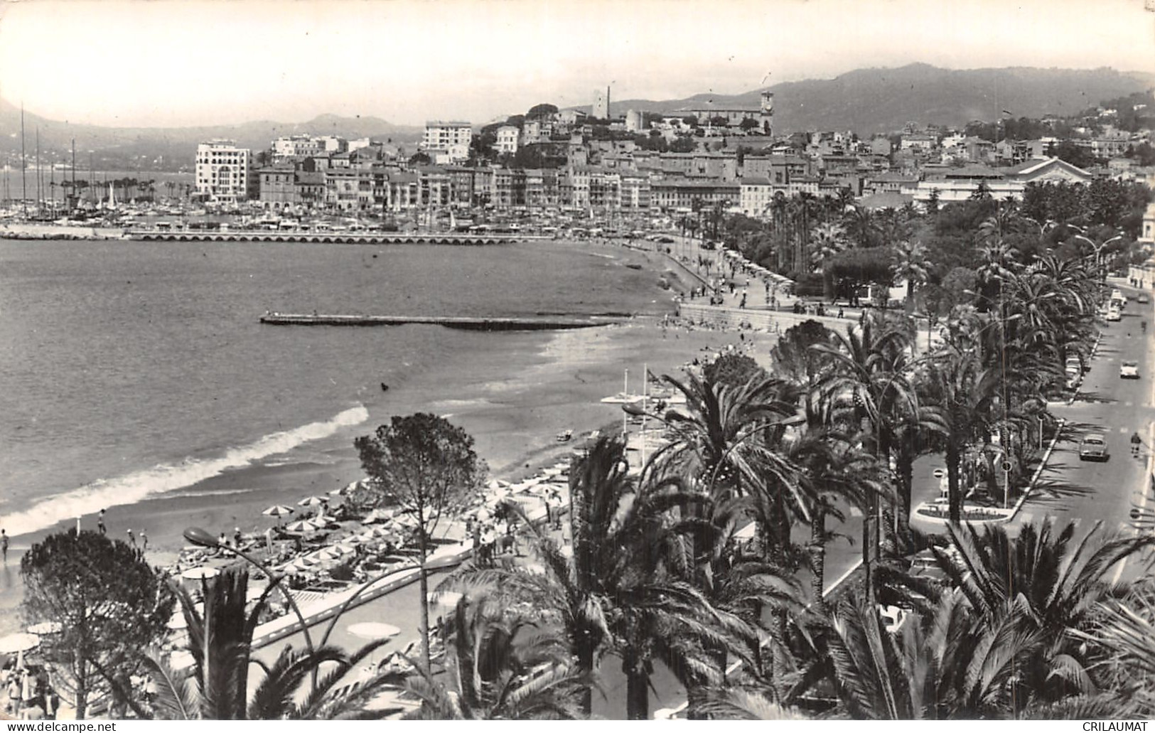 06-CANNES-N°5146-D/0067 - Cannes