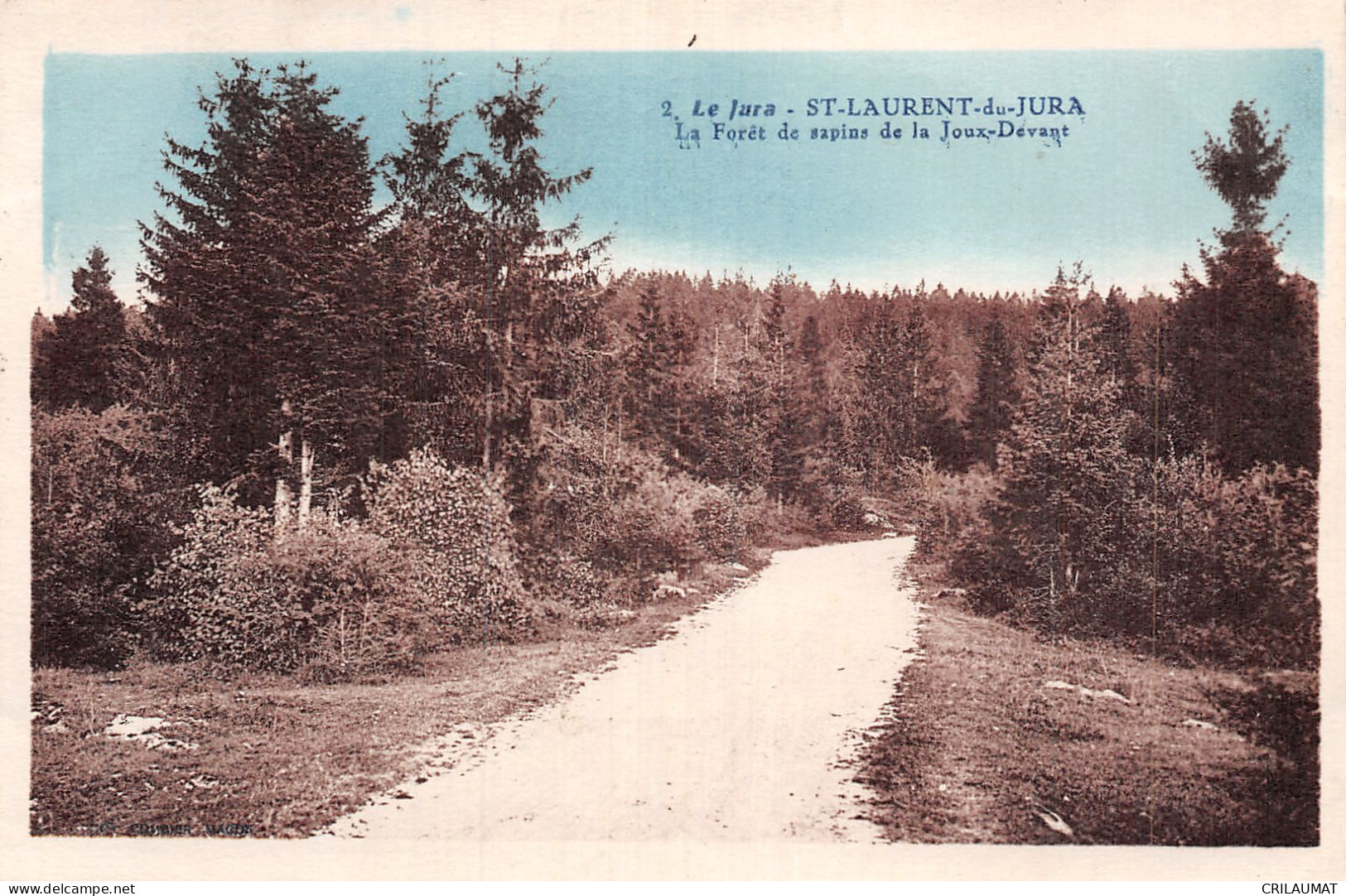 39-SAINT LAURENT DU JURA-N°5146-C/0391 - Sonstige & Ohne Zuordnung