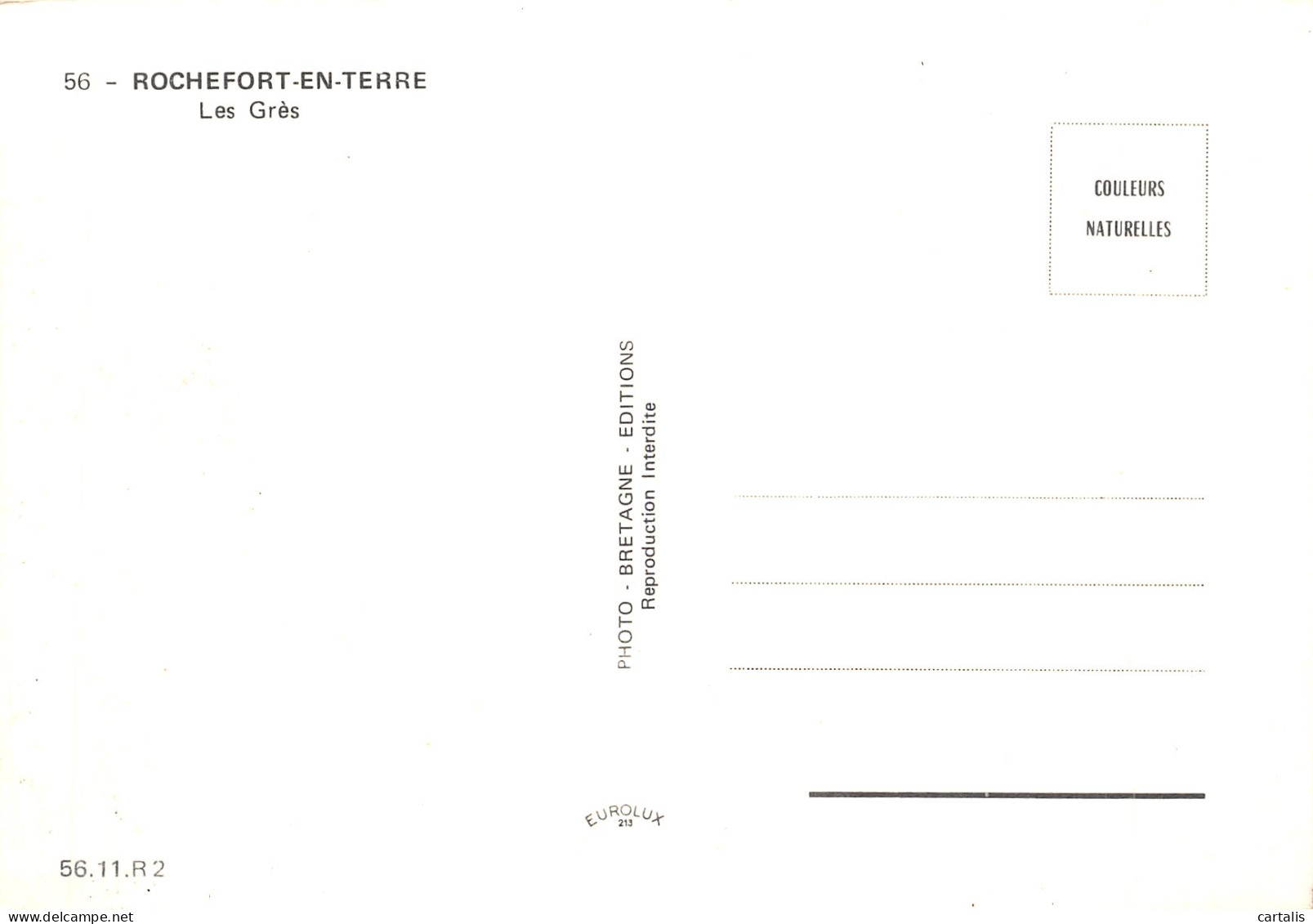 56-ROCHEFORT EN TERRE-N°4201-B/0123 - Rochefort En Terre