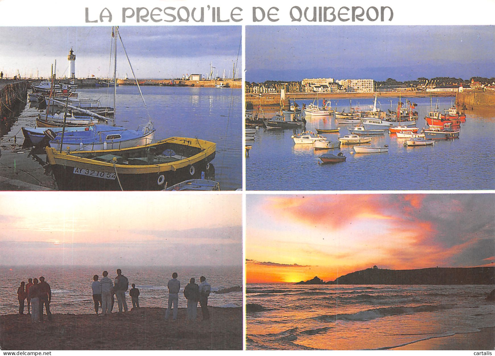 56-QUIBERON-N°4201-B/0095 - Quiberon