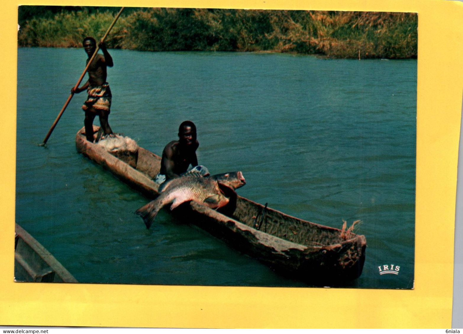 AFRIQUE EN COULEURS Sénégal    Pêche Au Capitaine   ( Barque Pirogue Gros Poisson   ) ( 21646 ) - Sénégal
