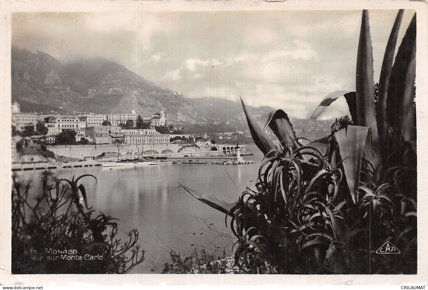 98-MONACO-N°5146-G/0031 - Andere & Zonder Classificatie