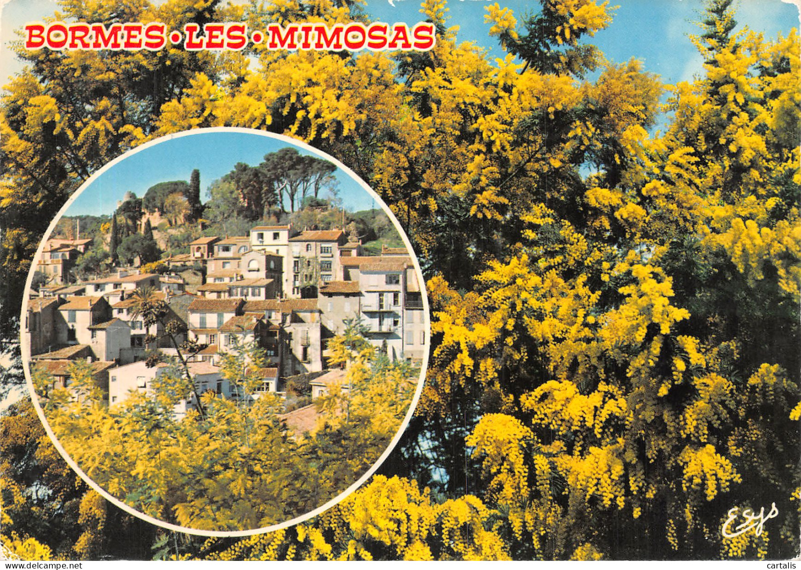 83-BORMES LES MIMOSAS-N°4201-D/0297 - Bormes-les-Mimosas