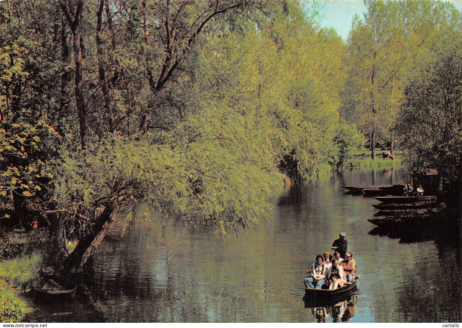 79-MARAIS POITEVIN-N°4201-D/0151 - Sonstige & Ohne Zuordnung