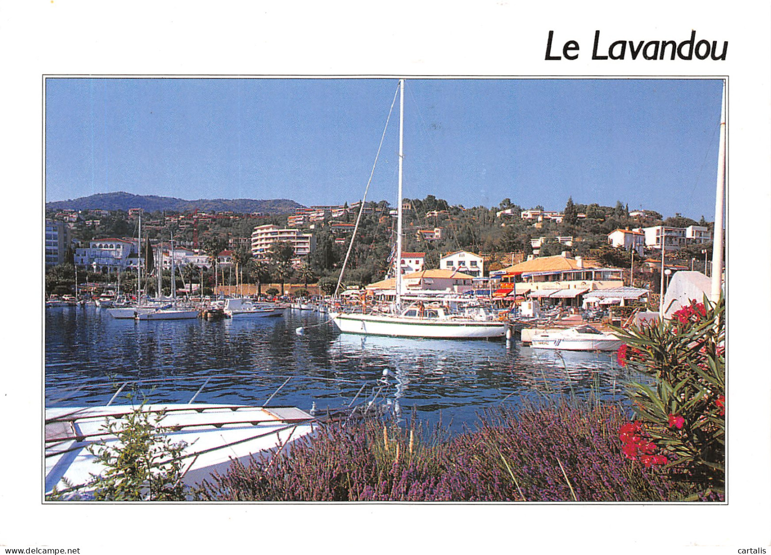 83-LE LAVANDOU-N°4201-C/0343 - Le Lavandou