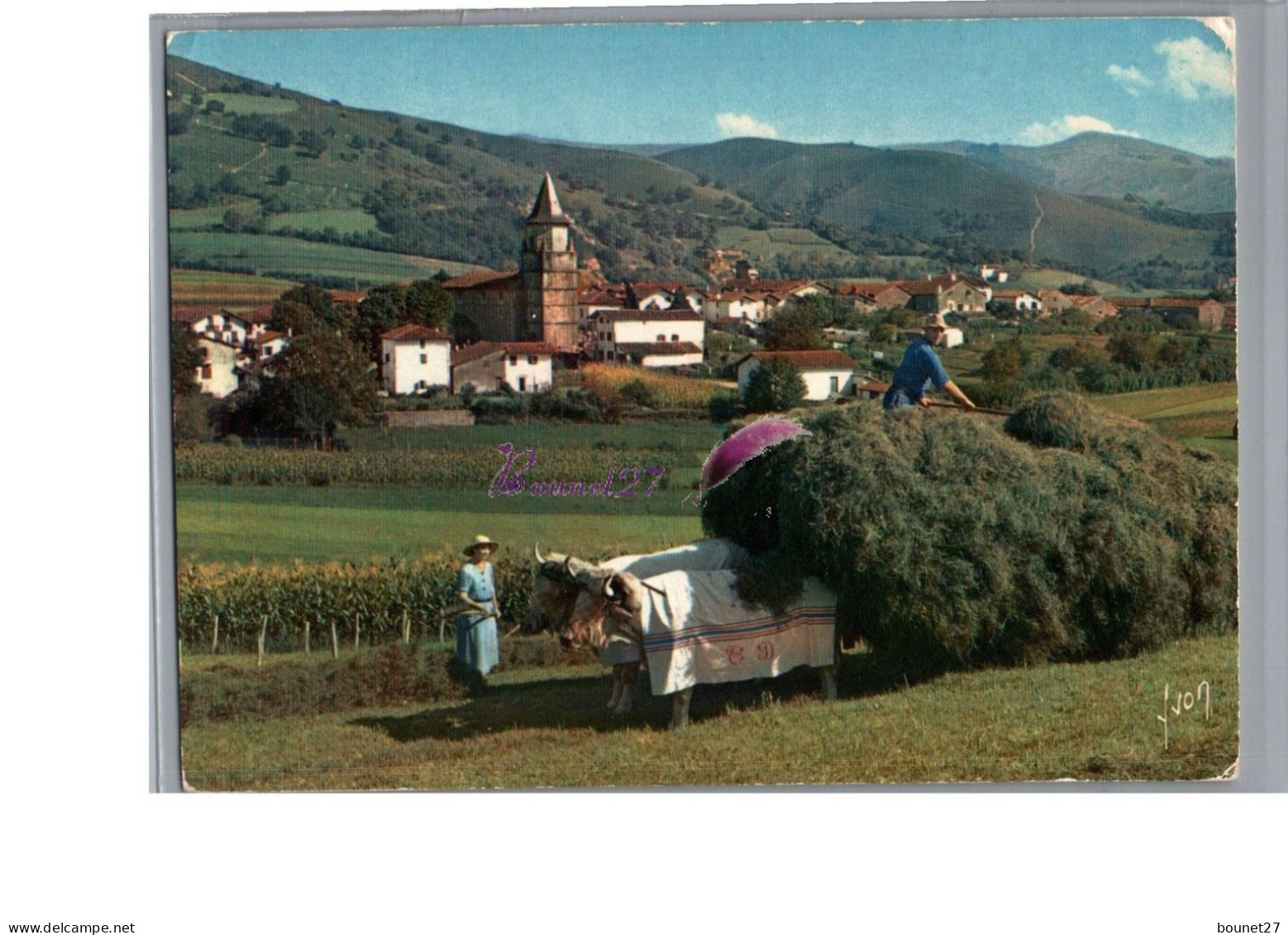 AINHOA 64 - Le Village Type Du Pays Basque Ramassage Du Foin à L'aide De Bœuf Vache En Costume Folklore - Ainhoa