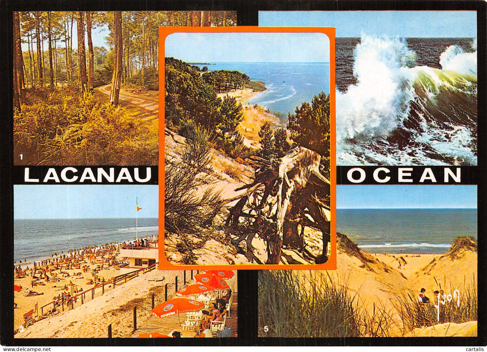 33-LACANAU OCEAN-N°4201-C/0057 - Autres & Non Classés