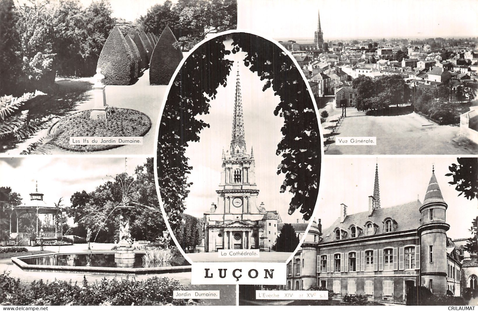 85-LUCON-N°5147-B/0303 - Lucon