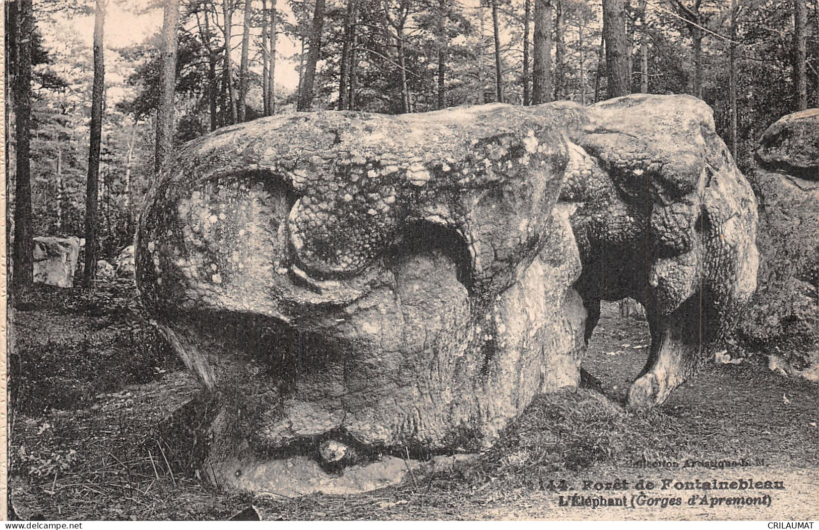 77-FONTAINEBLEAU LA FORET L ELEPHANT-N°5147-B/0245 - Fontainebleau