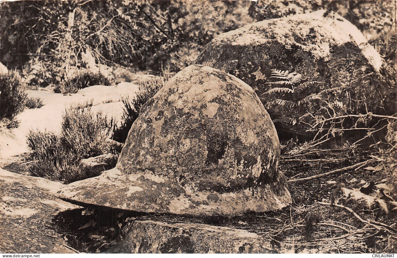 77-FONTAINEBLEAU LA FORET LA CASQUETTE DU JOCKEY-N°5147-B/0243 - Fontainebleau