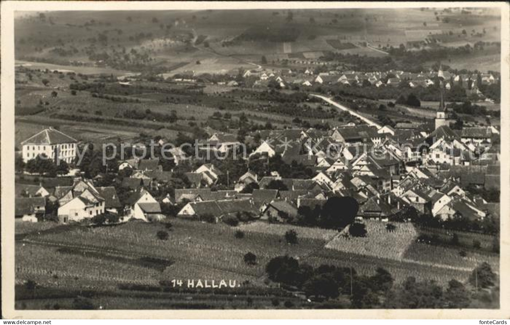 12009477 Hallau Blick Ueber Hallau Hallau - Andere & Zonder Classificatie