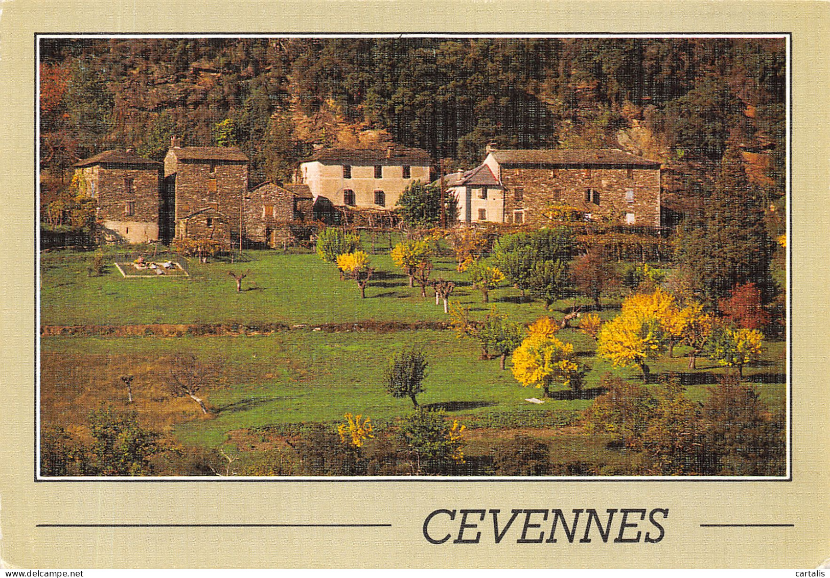 48-LES CEVENNES-N°4202-B/0383 - Sonstige & Ohne Zuordnung