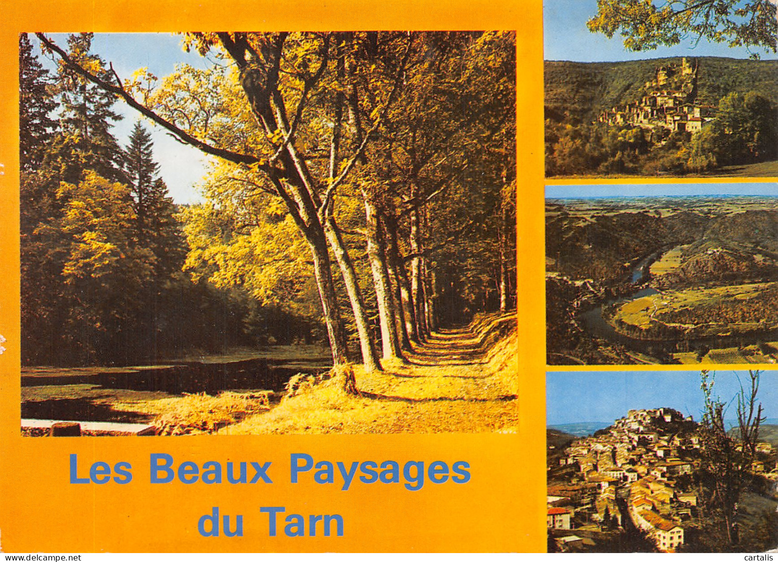 81-LE TARN-N°4202-B/0273 - Autres & Non Classés