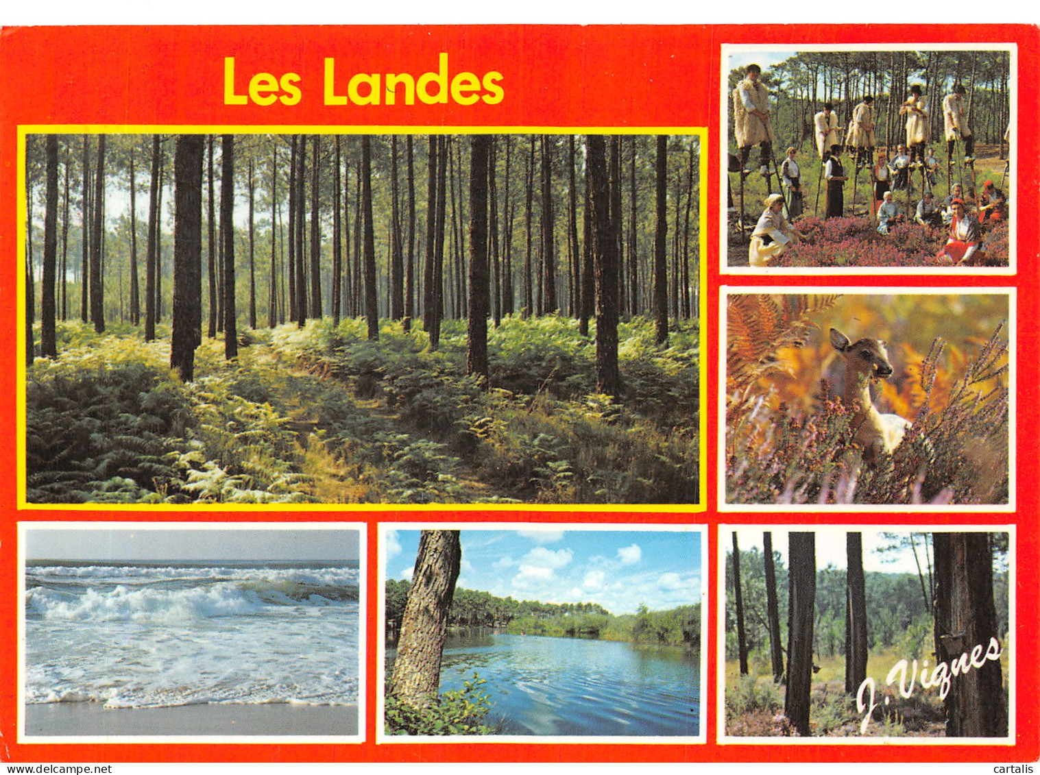 40-LES LANDES-N°4202-B/0271 - Other & Unclassified