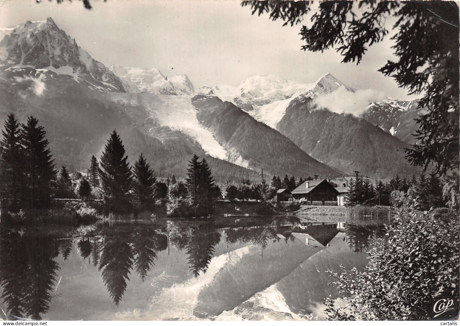 74-CHAMONIX MONT BLANC-N°4202-B/0165 - Chamonix-Mont-Blanc