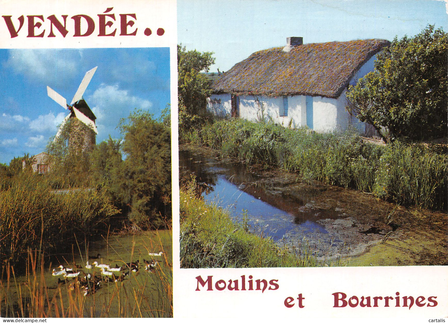 85-LA VENDEE-N°4202-A/0383 - Sonstige & Ohne Zuordnung