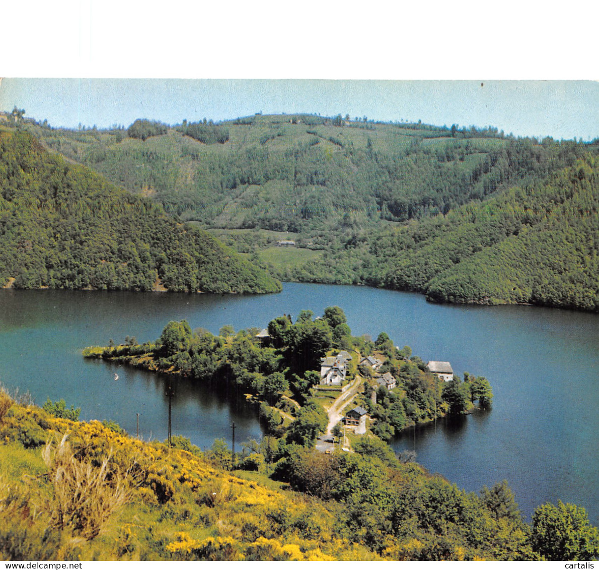 12-LE LAC DE SARRANS-N°4202-A/0325 - Other & Unclassified