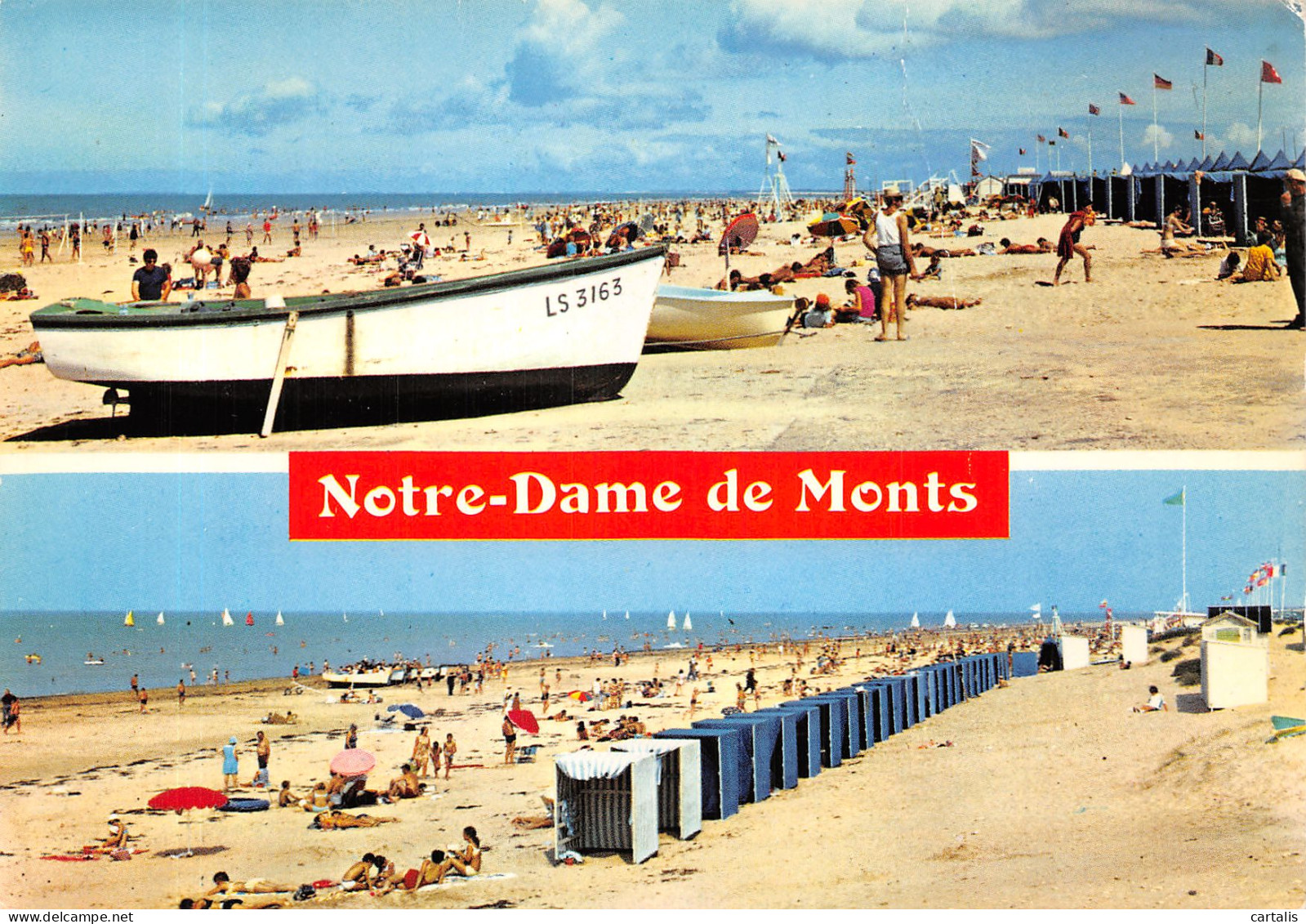 85-NOTRE DAME DE MONTS-N°4202-A/0115 - Sonstige & Ohne Zuordnung