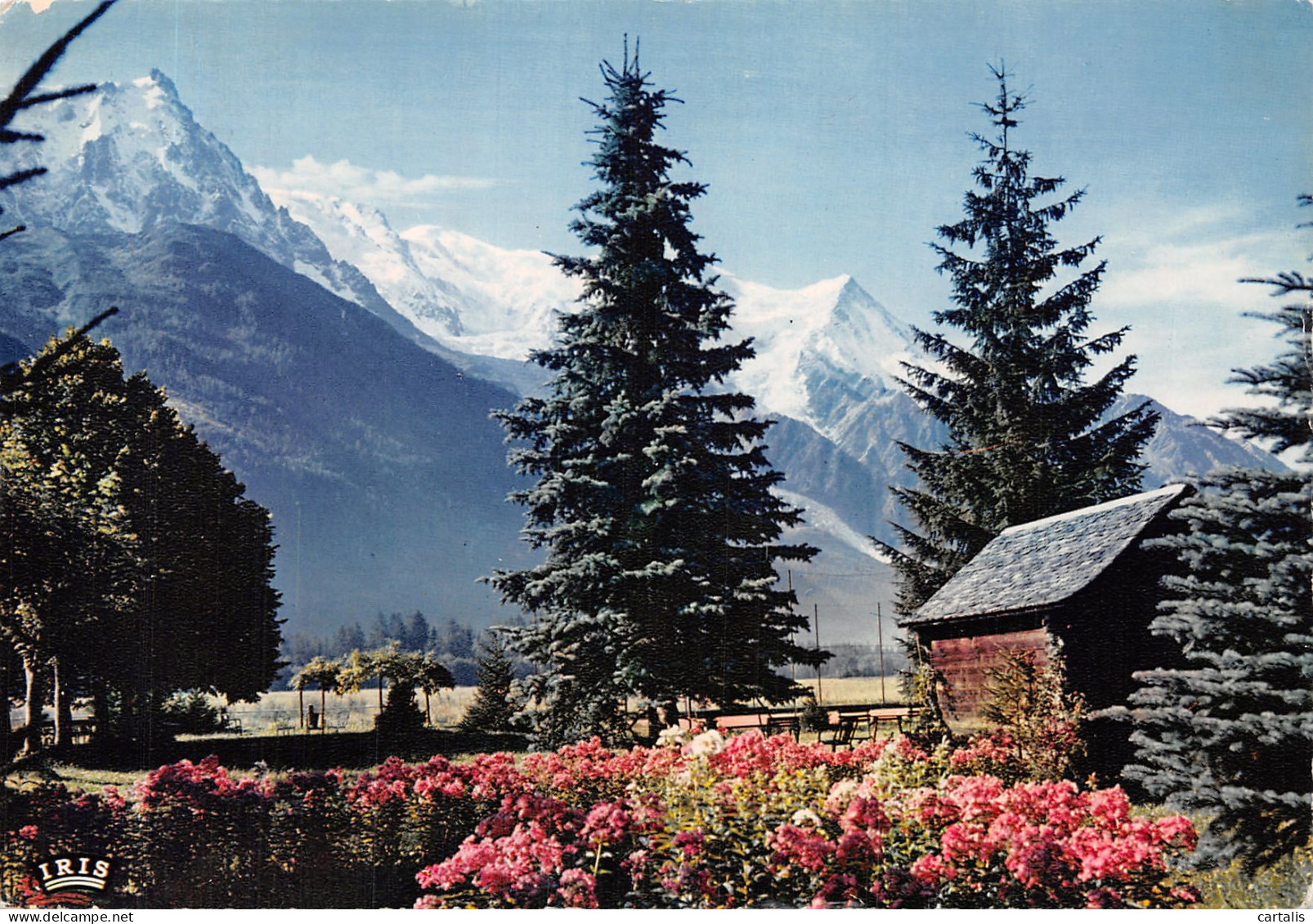 74-CHAMONIX MONT BLANC-N°4202-A/0095 - Chamonix-Mont-Blanc