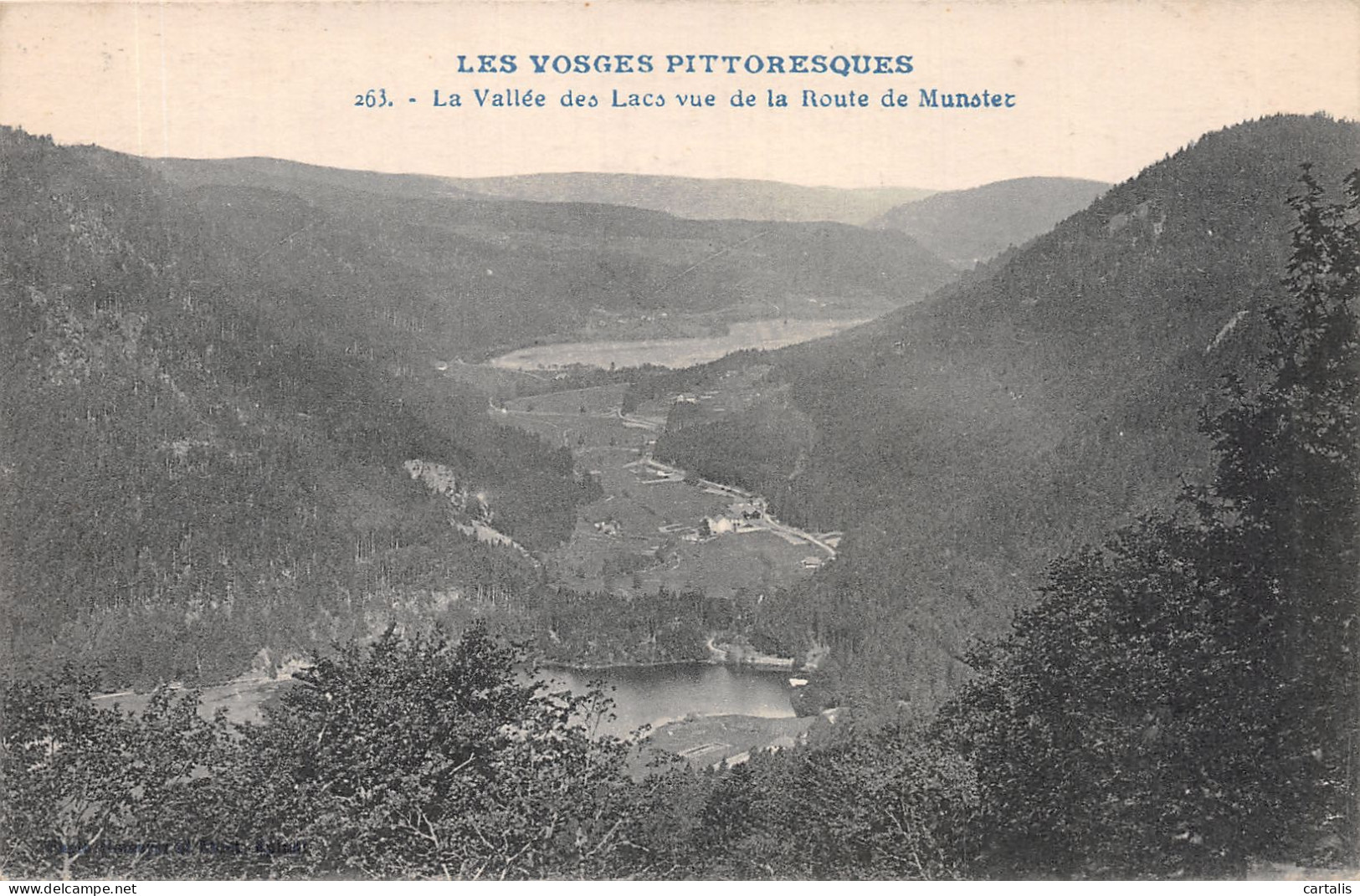 88-VOSGES VALLEE DES LACS-N°4201-E/0301 - Andere & Zonder Classificatie