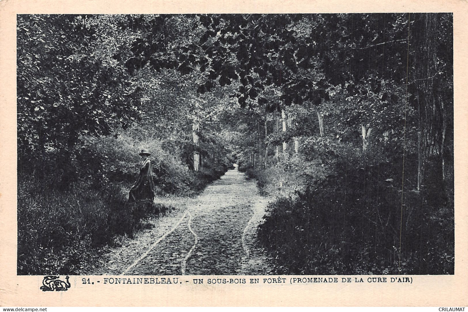 77-FONTAINEBLEAU LA FORET-N°5147-E/0271 - Fontainebleau