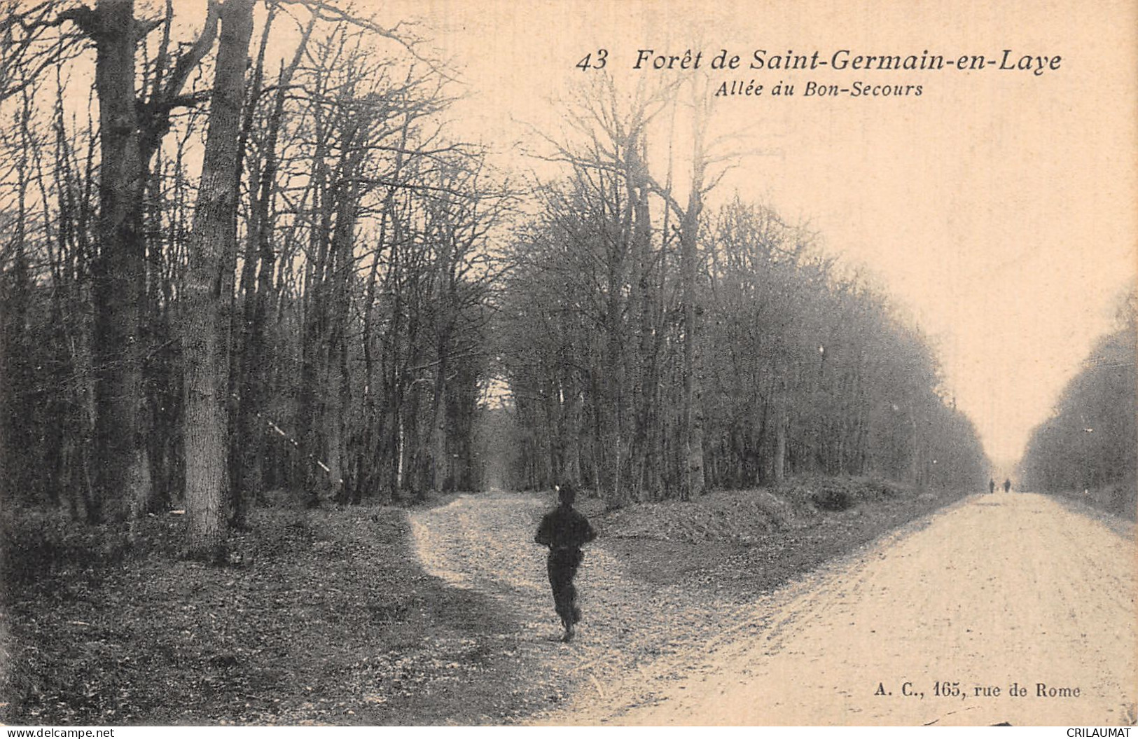 78-SAINT GERMAIN EN LAYE LA FORET-N°5147-E/0089 - St. Germain En Laye