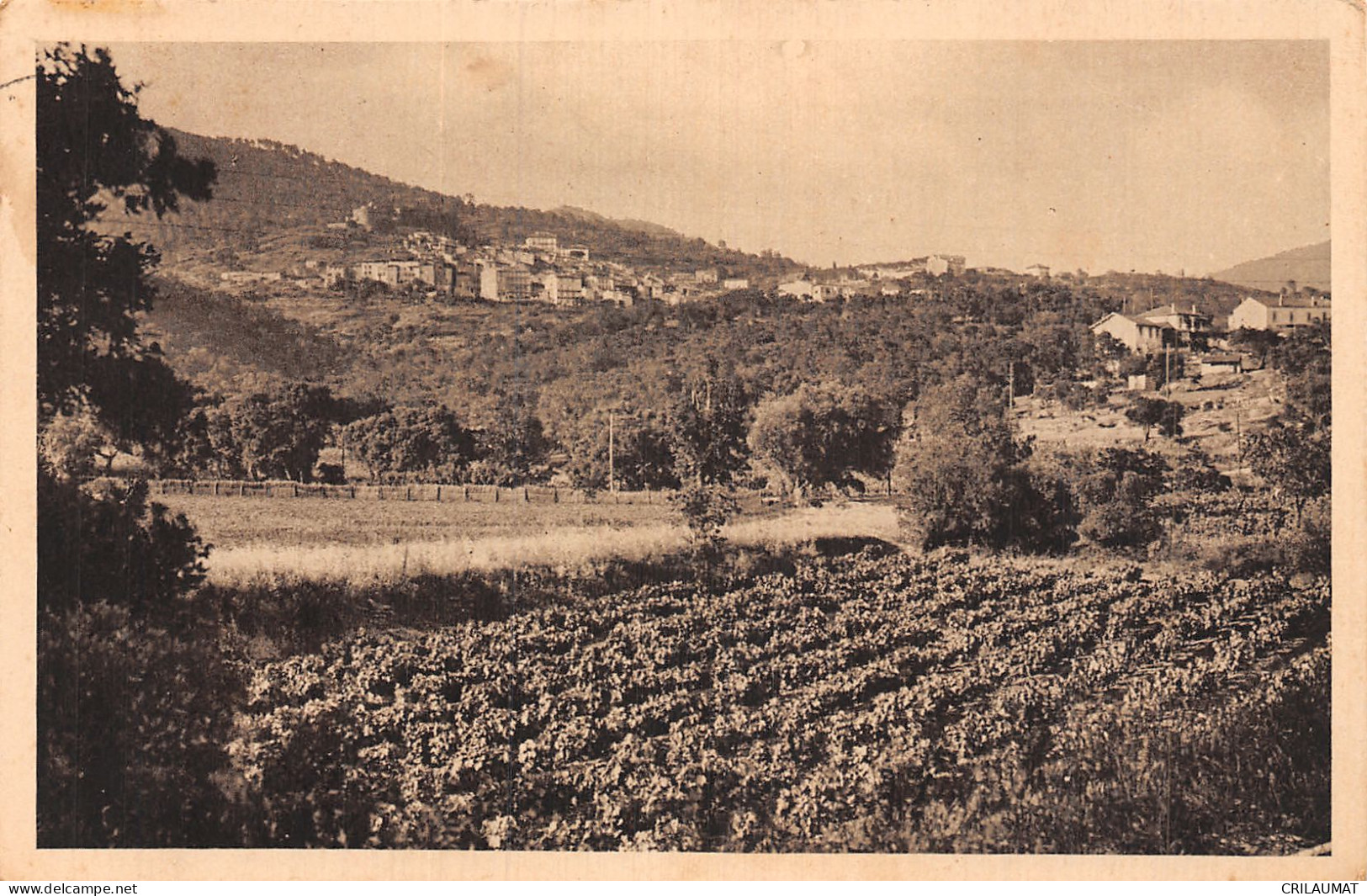 83-BORMES LES MIMOSAS-N°5147-D/0029 - Bormes-les-Mimosas