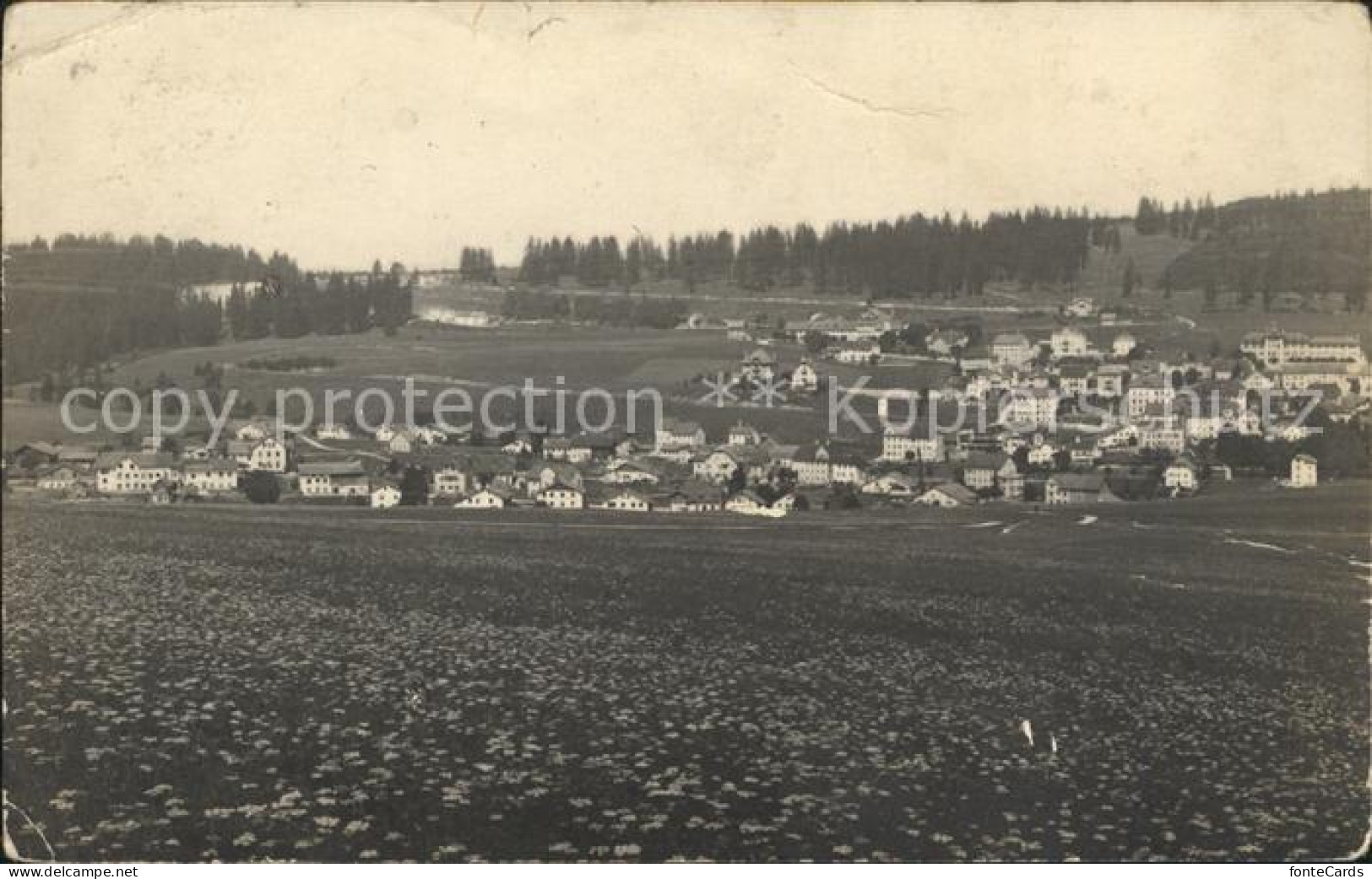 12007817 Dessus Tramelan Bas Du Village Dessus Tramelan - Sonstige & Ohne Zuordnung