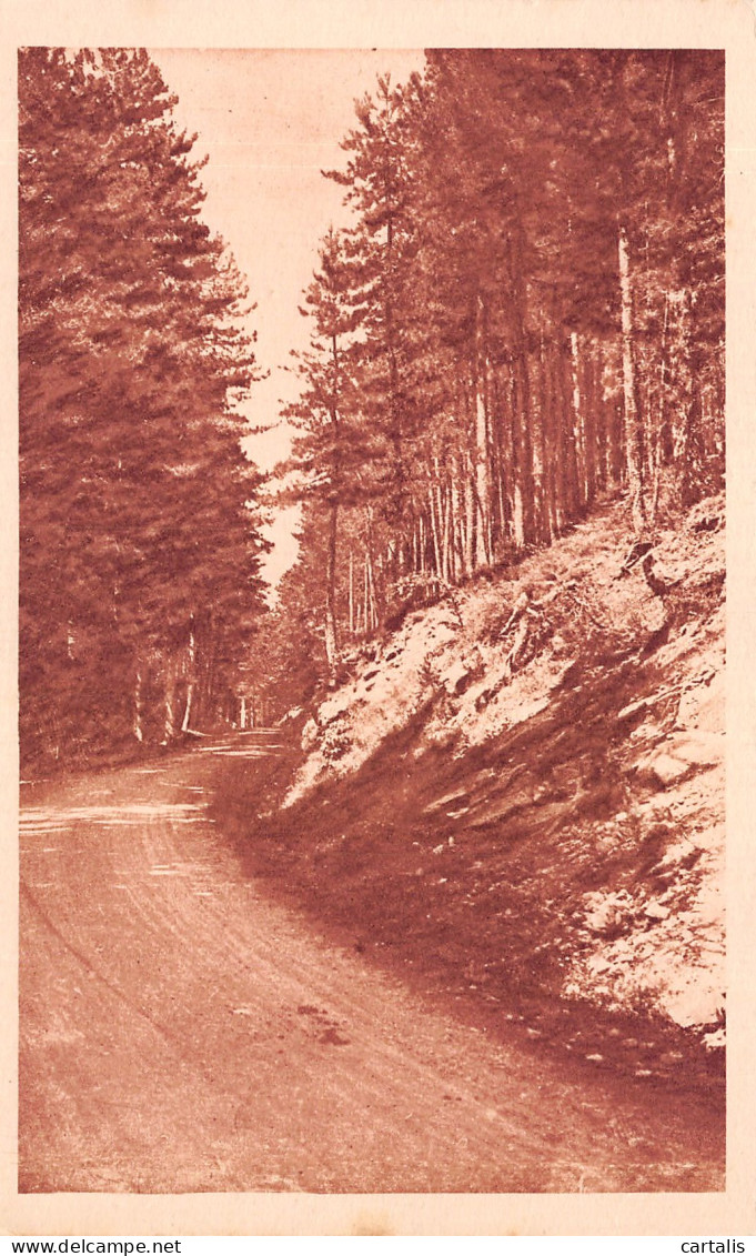 20-CORSE FORET DE VALDONIELLO-N°4202-E/0145 - Sonstige & Ohne Zuordnung