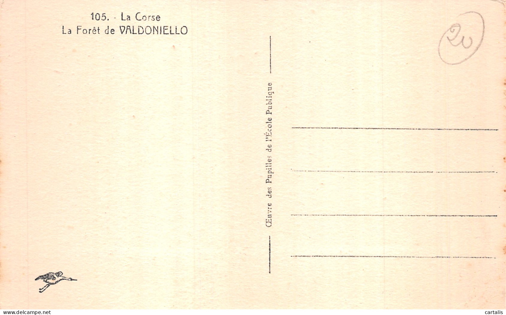 20-CORSE FORET DE VALDONIELLO-N°4202-E/0145 - Altri & Non Classificati