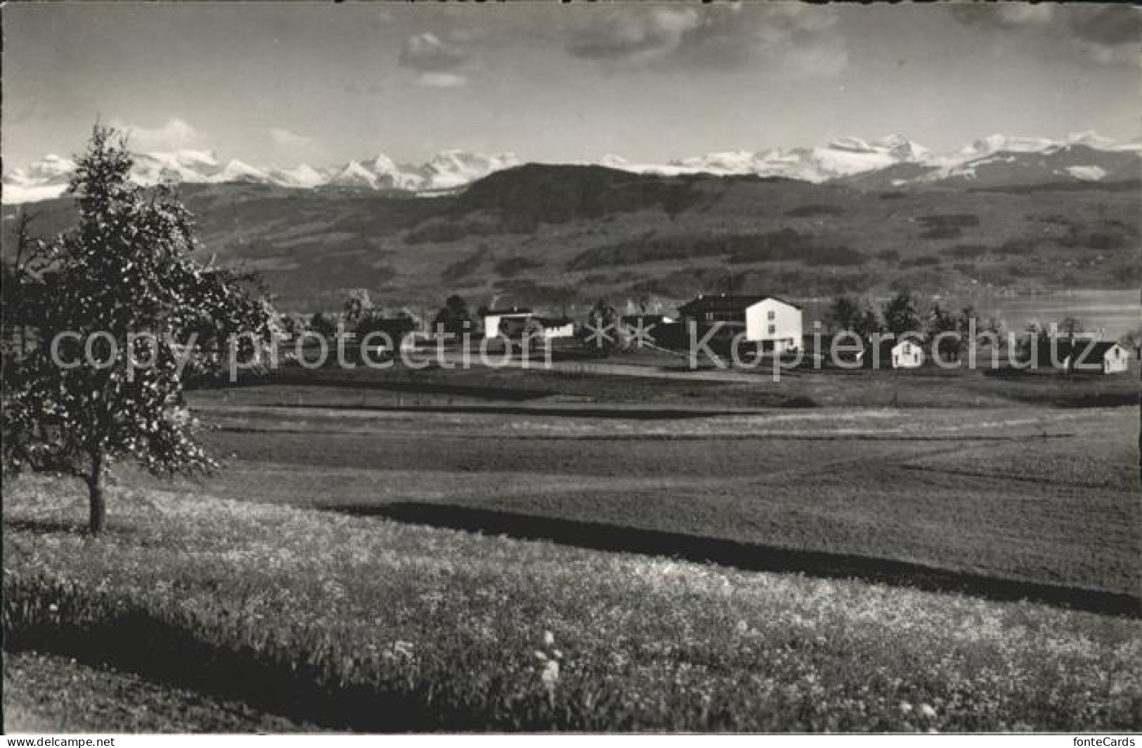 12007687 Maennedorf Heimstaette Panorama Blick Gegen Die Alpen Maennedorf - Andere & Zonder Classificatie