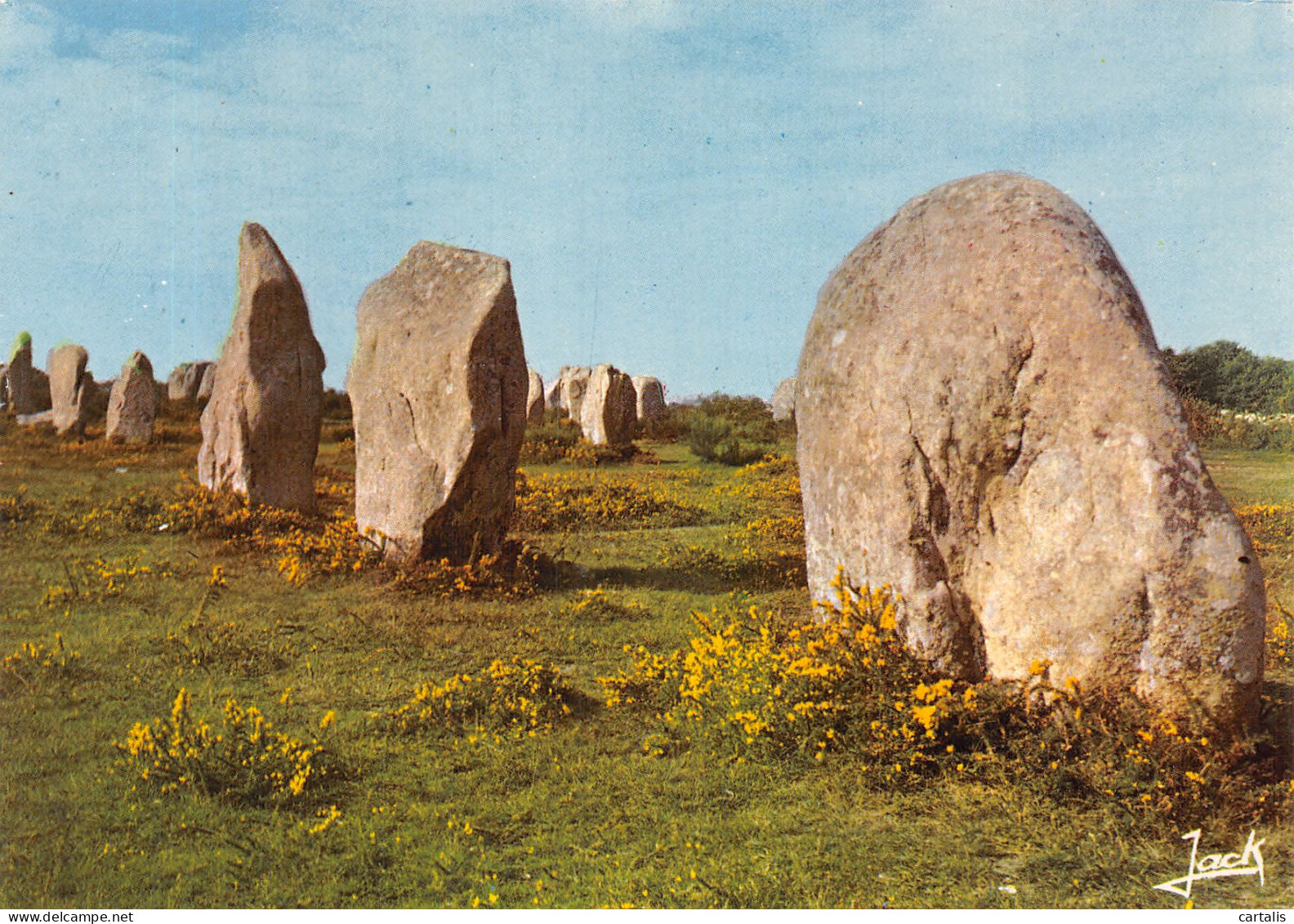 56-CARNAC-N°4202-D/0371 - Carnac