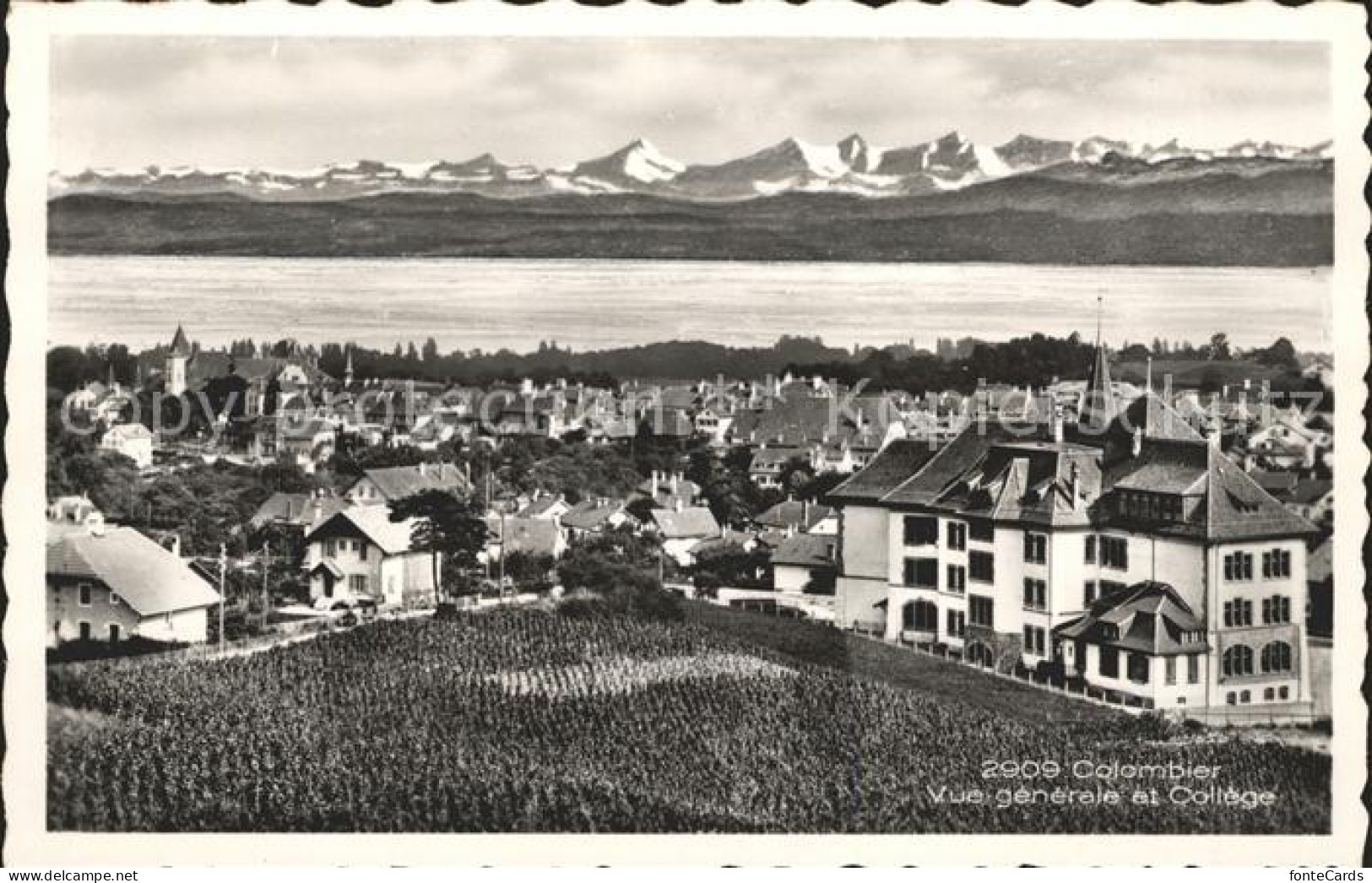 12007627 Colombier NE Vue Generale College Lac De Neuchatel Et Les Alpes Colombi - Other & Unclassified