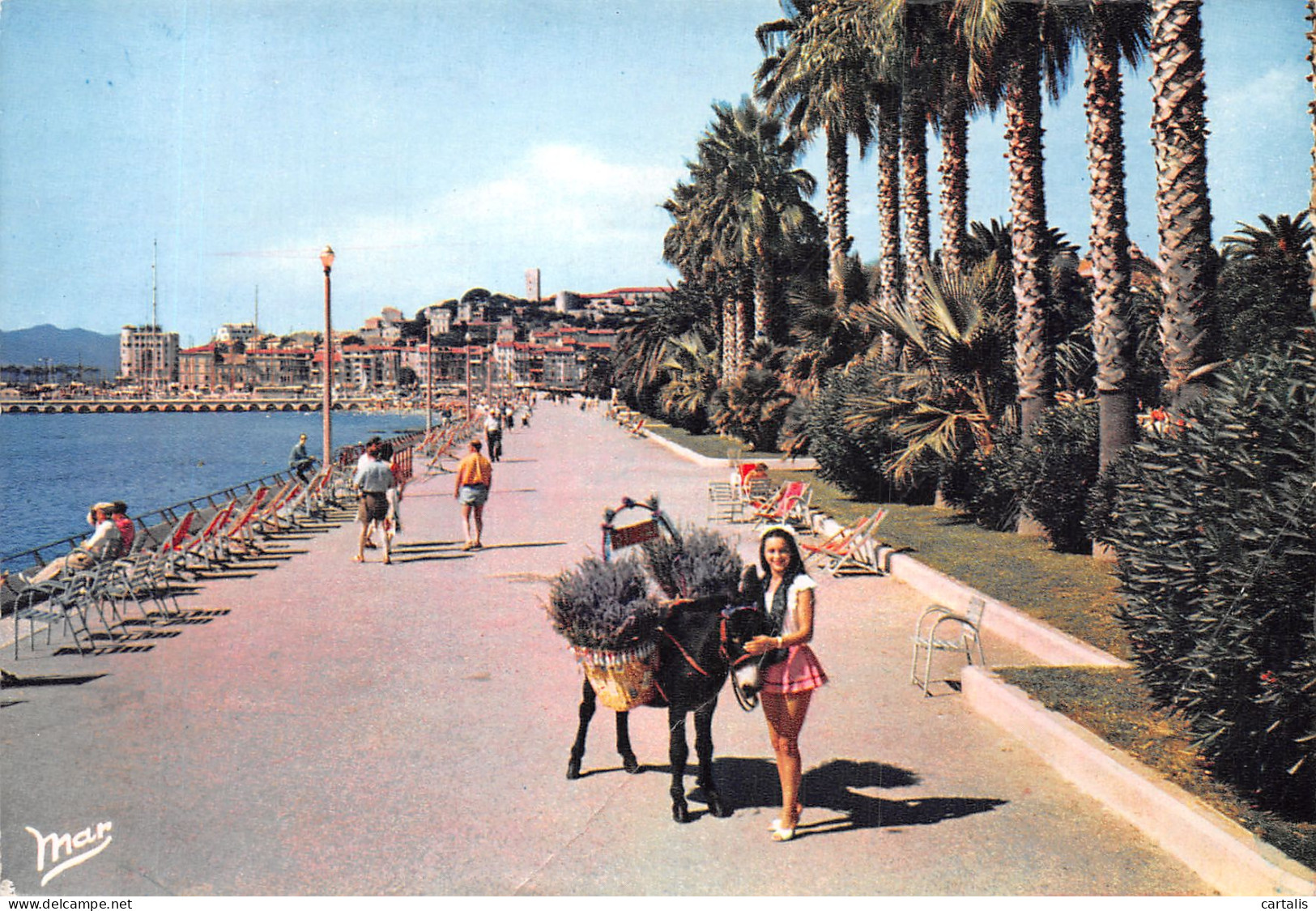 06-CANNES-N°4202-D/0149 - Cannes