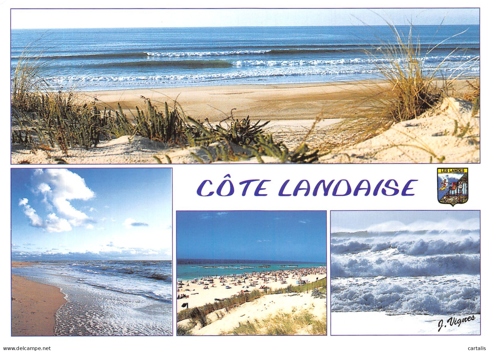 40-COTE LANDAISE-N°4202-D/0103 - Other & Unclassified