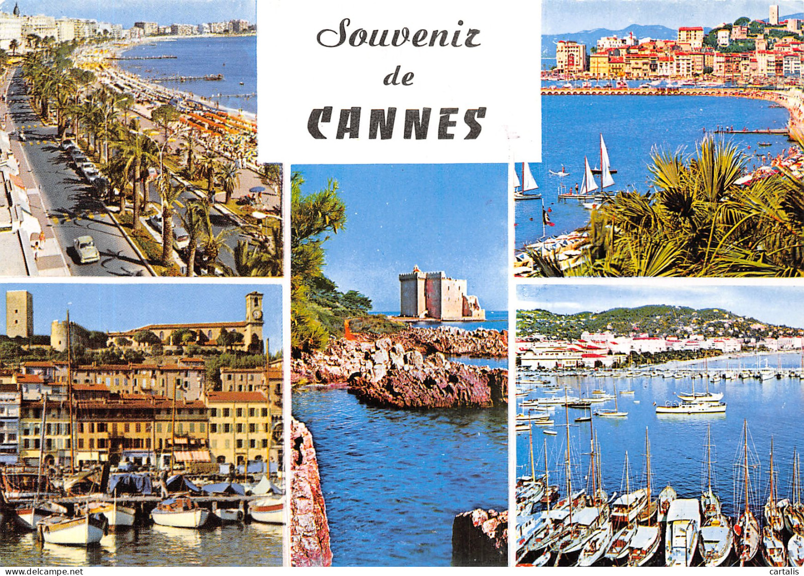 06-CANNES-N°4202-C/0247 - Cannes